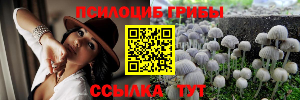 Псилоцибиновые грибы Magic Shrooms Елец